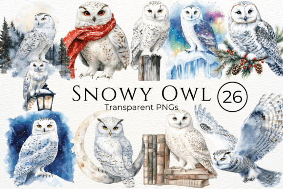 Download Snowy Owl Watercolor Clipart - Premium Bundle